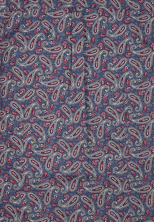 colour_Navy|Paisley Printed Shirt