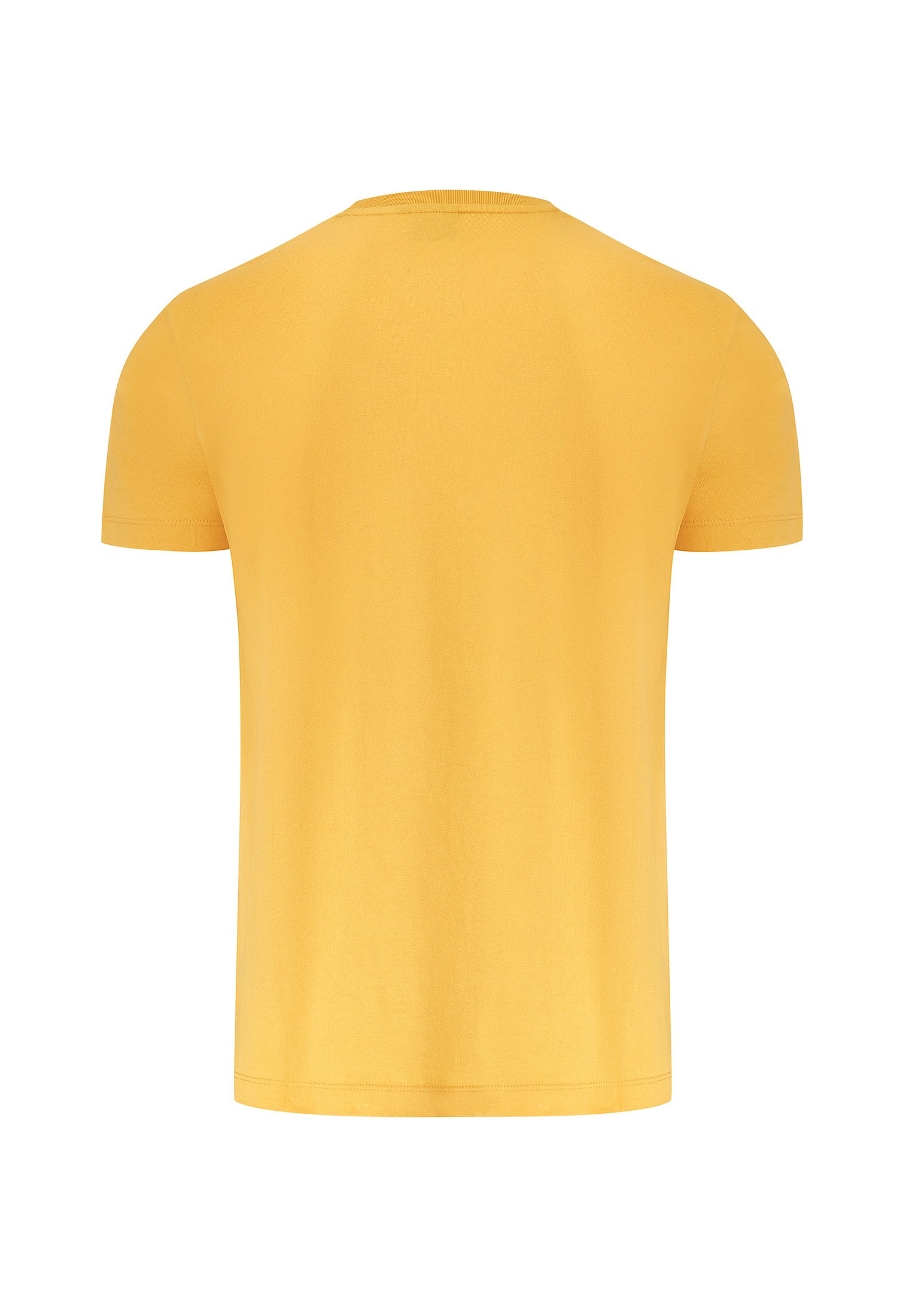 colour_Ochre|Printed T-Shirt in Yellow
