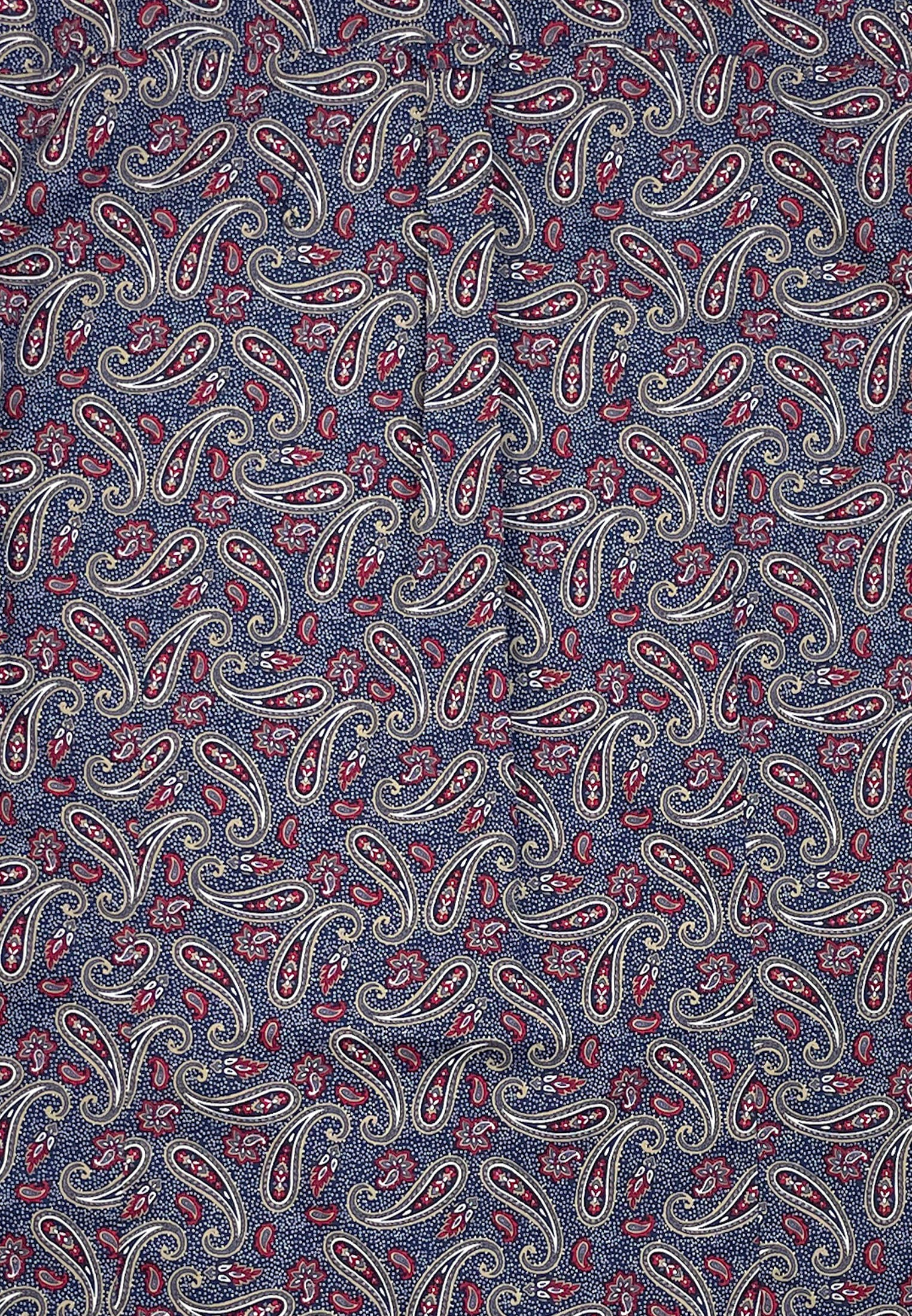 colour_Navy|Paisley Printed Shirt